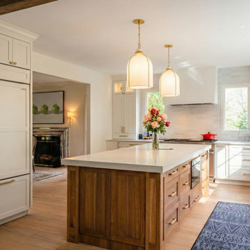 McLean Transitional Home Renovation | Luxury Kitchen & Spa Bathroom