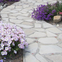 Walkways/Cabin