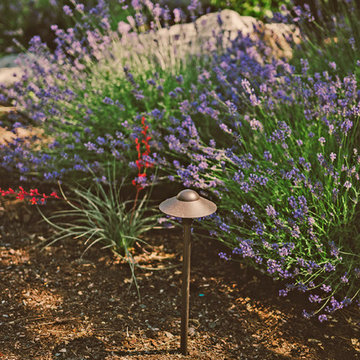 Waterwise Garden Plants and Path Lighting
