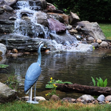Ponds and Streams