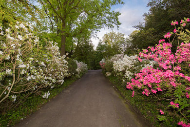Design ideas for a landscaping in Philadelphia.