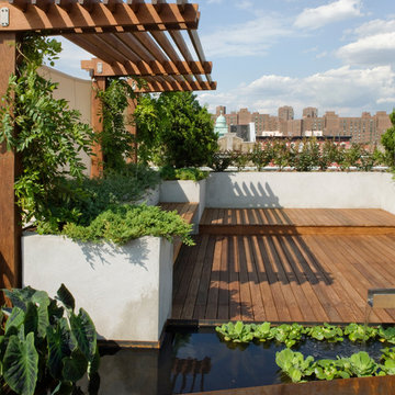 East Village Roof Garden