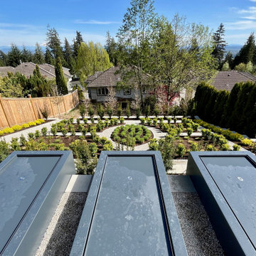 View of the lower garden planter beds looking South