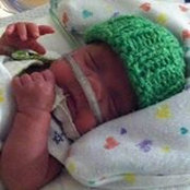 Michelle Guzman McCarthy's photo
