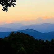 Terri Johnson's photo
