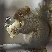 Cheryl Giles's photo