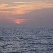 Rita Alfieri's photo