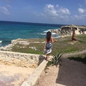 Basty Bees's photo