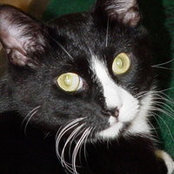 Ruth Bethmann's photo
