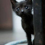 Kathy Lubking's photo