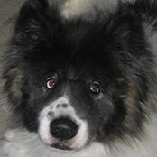 Chris Manz's photo