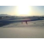 Emily Reed's photo