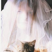 Minna Kohv's photo