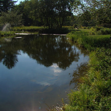 Estate Pond