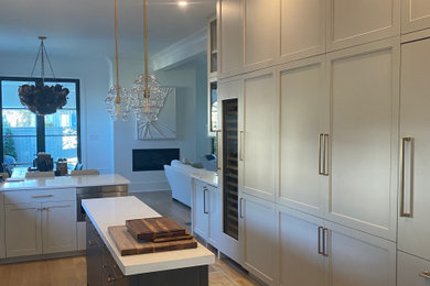 This is an example of a galley kitchen in New Orleans with an island.