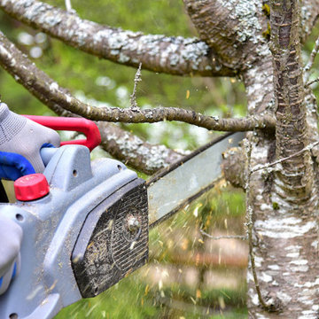 Safety First: Is Using A Chainsaw A Good Idea?