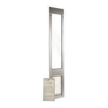 Danielle's ideas