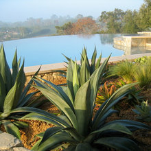 RSF Landscape