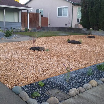 New Front Yard. Grass, Planting and Pebbles in San Pablo CA
