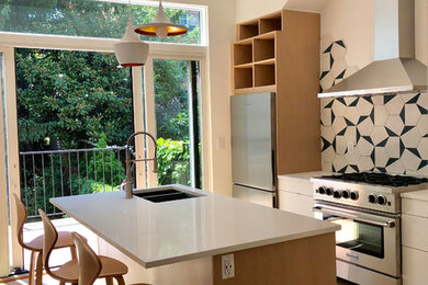 Kitchen - contemporary kitchen idea in New York