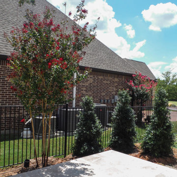 Flowering Trees & Shrubs