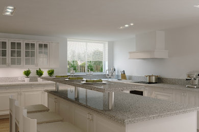Kitchen - transitional kitchen idea in DC Metro