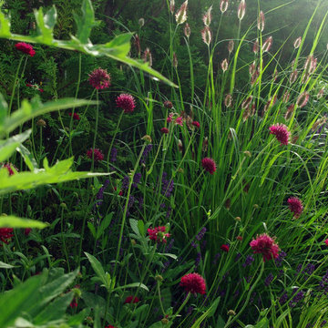 M邸 / garden m