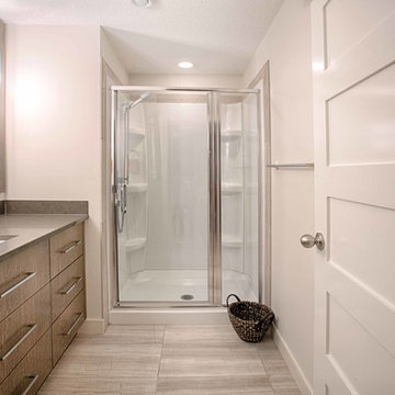 Full Custom Basement Development