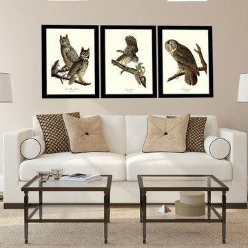 Audubon Bird Prints