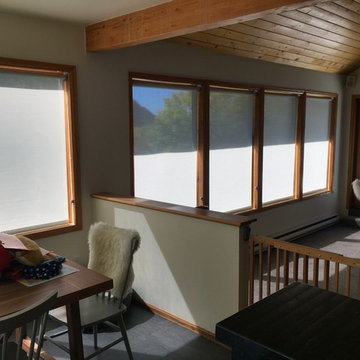 Bare Solar Roller Shades in Aspen Colorado