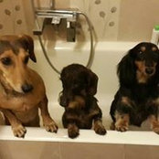 Julie Dlinnova's photo