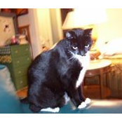 Merilee Brown's photo