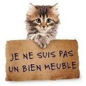 Maboudine FLs billede