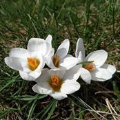 Foto von Erin Lewis