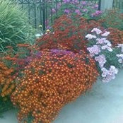 Elissar Hamdan's photo