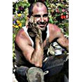 SFGARDENING.COM's profile photo
