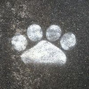 Cheyanne Doty's photo