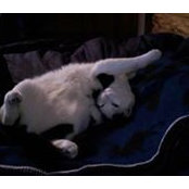 Stephanie Ayotte's photo