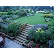 Ulaş Erayan Garden Desin's photo