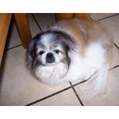 Ellen Hinchliff's photo