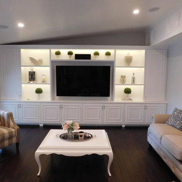 Custom Contemporary TV Unit