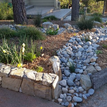 Natural Drainage