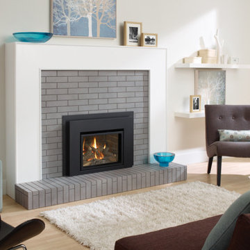 Gas Fireplace Inserts