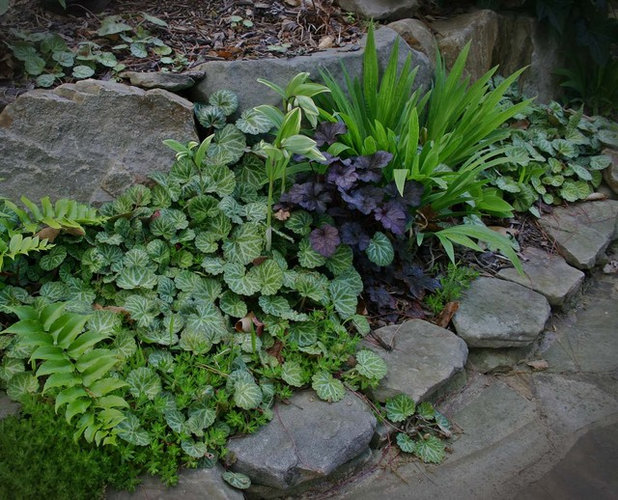 Landscape by Edward Davis Landscape Architect