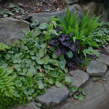 jewel box garden