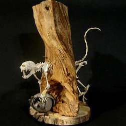 Skunk Skeleton - Products