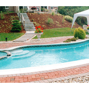 Custom Backyard Pool Portfolio