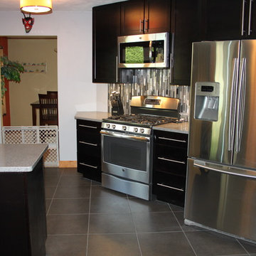 Stunning Stainless Contemporary Kitchen | Rockford, Illinois