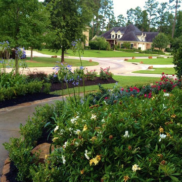Kingwood