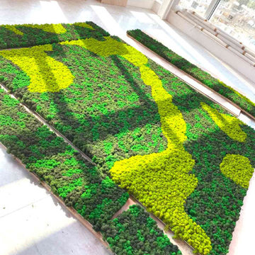 Suspended Moss Ceiling | Office Interiors
